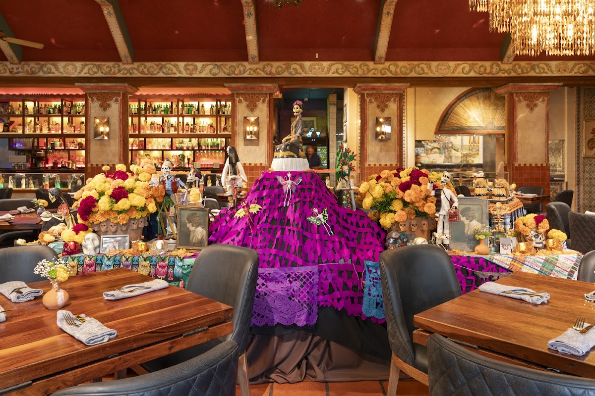 Editorial restaurant image stand-in for Fonda San Miguel