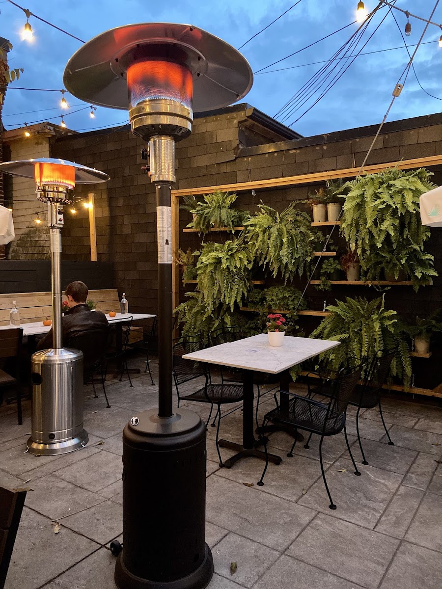 Editorial restaurant image stand-in for ANGLR
