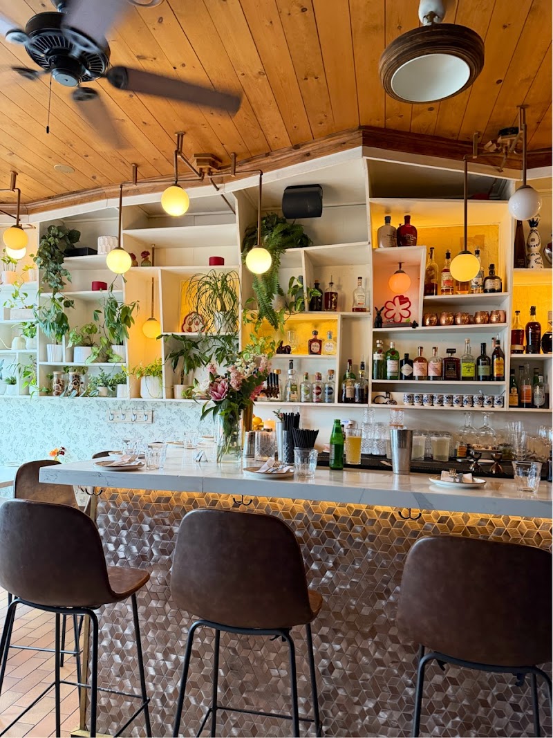 Editorial restaurant image stand-in for Conejo Negro