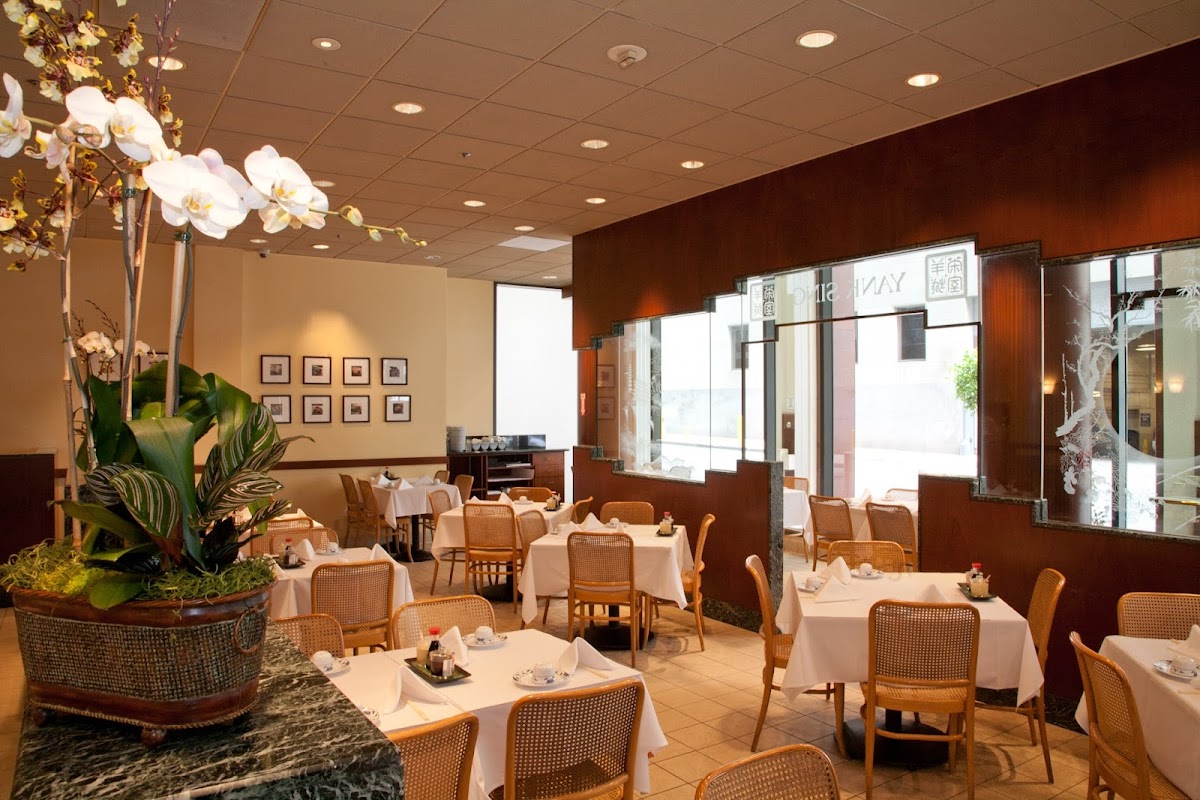 Editorial restaurant image stand-in for Yank Sing