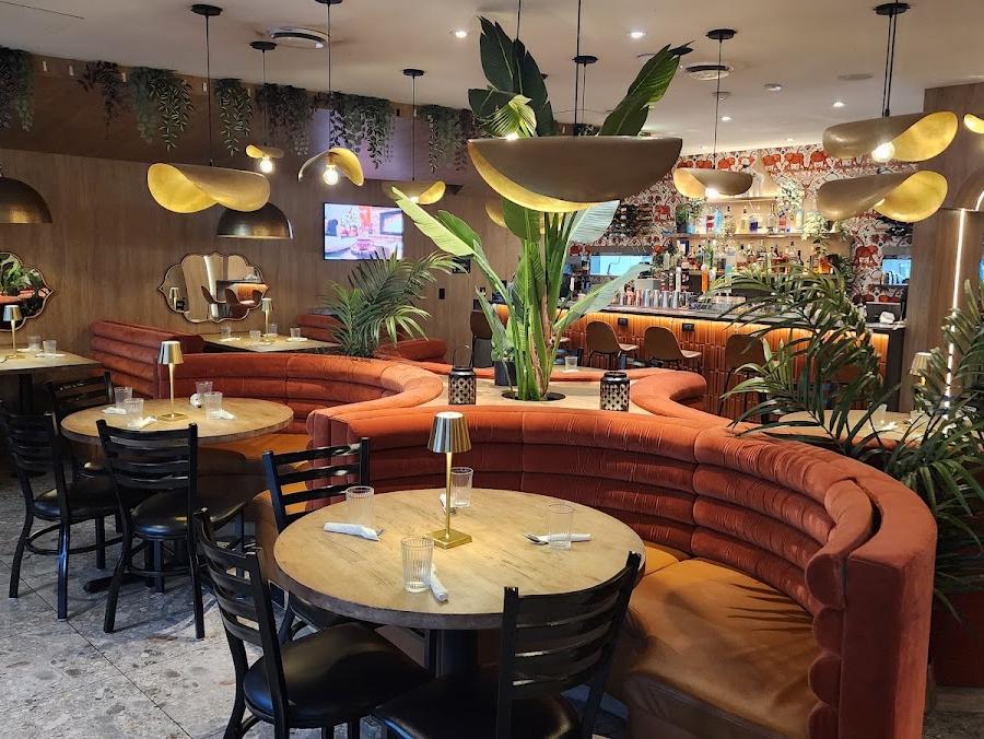 Editorial restaurant image stand-in for House of Dosas | Davie st