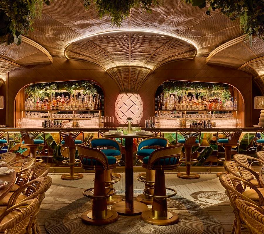 Editorial restaurant image stand-in for Amazónico Miami