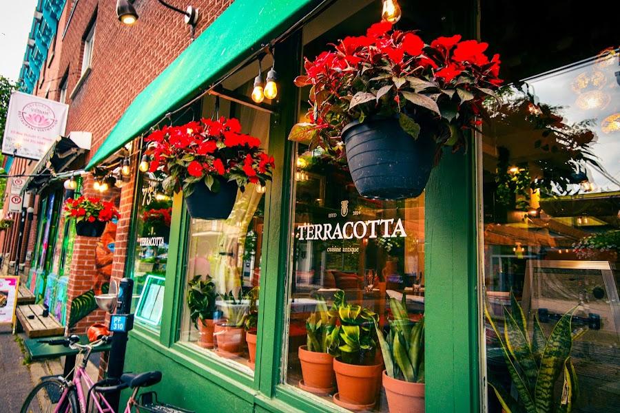 Editorial restaurant image stand-in for Terracotta Restaurant