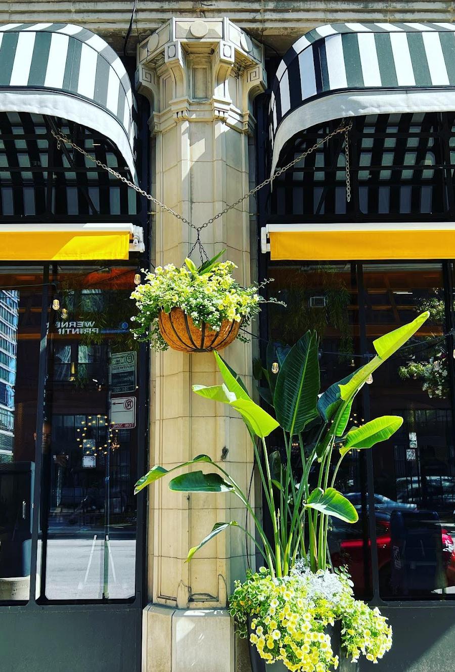 Editorial restaurant image stand-in for Alla Vita