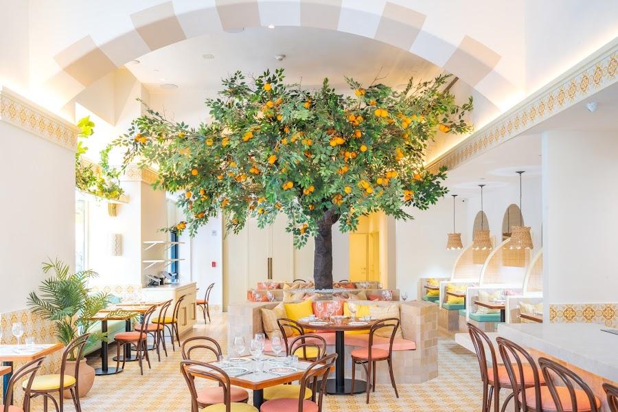 Editorial restaurant image stand-in for Mama Mezze