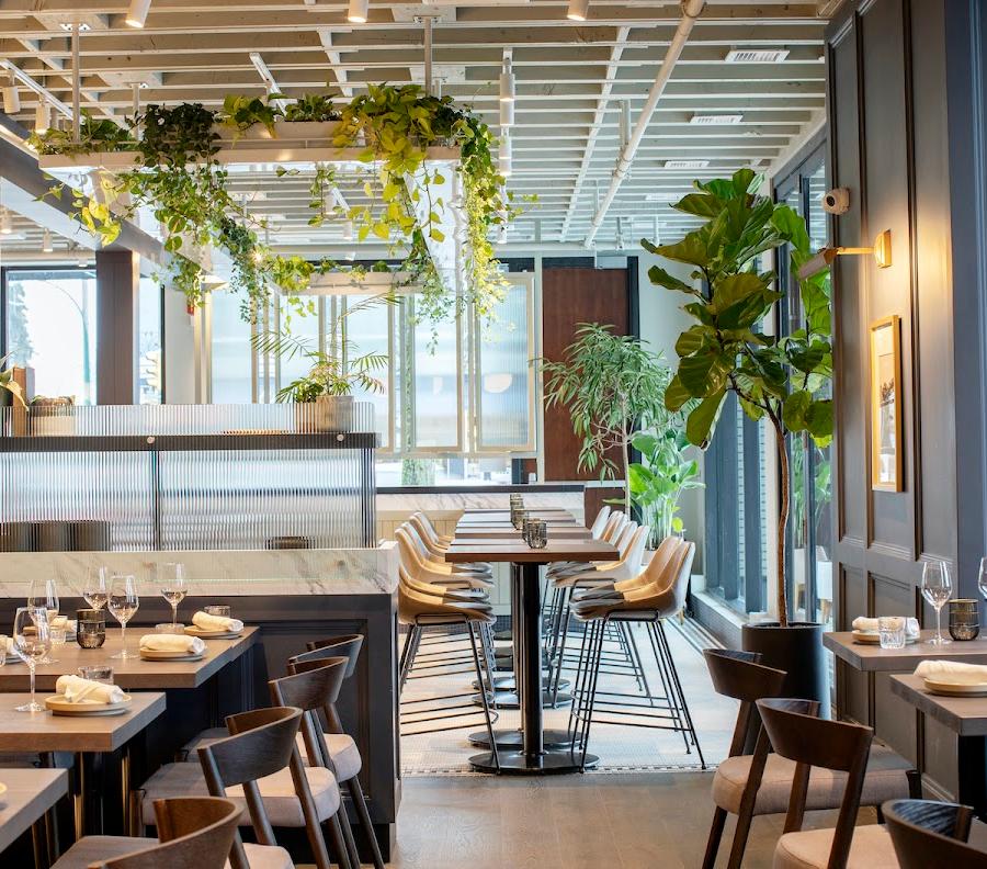 Editorial restaurant image stand-in for Published on Main